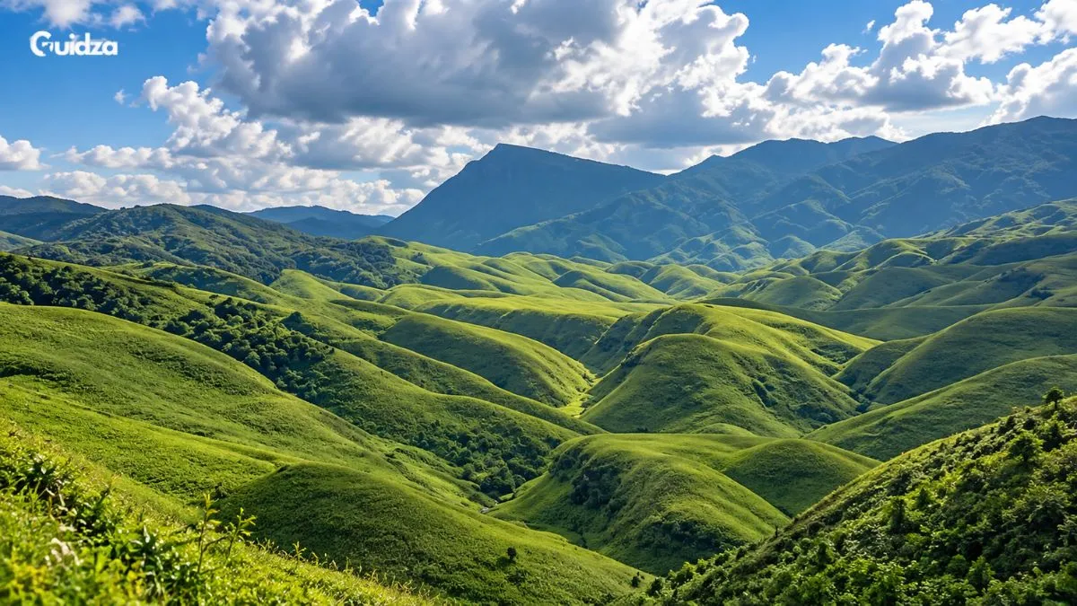 Dzukou Valley